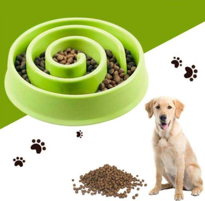 ชามให้อาหารหมา-ชามอาหารสัตว์เลี้ยง-pet-food-bowl-แมว-ชามข้าวแมว-pet-food-bowl-ชามให้อาหาร-ชามให้อาหารแมว-ขนาด-20cm-คละสี