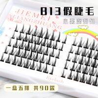 [COD] Makeup B13 Little False Eyelashes Manga Fishtail Segmented Cluster Hair Novice