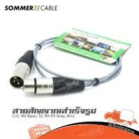 สายสัญญาณสำเร็จ SOMMER C+C Basic SC-B101 สีเทา ( 1 เมตร ) ของแท้ ราคาถูก ส่งไว (ใบกำกับภาษีทักเเชทได้เลยค่ะ) ฮิปโป ออดิโอ Hippo Audio