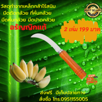 ส่งฟรี คมกริบ วัสดุทำจากเหล็กกล้าไร้สนิม มีดตัดกล้วย ที่หั่นกล้วย มีดหั่นกล้วย มีดปาดกล้วย อรัญญิก รอยในการลับมีดจะมีความละเอียดกว่า มีเก็บปลายทาง จำนวน 2 เล่ม