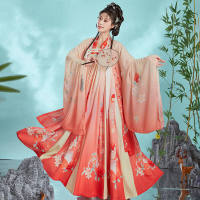ชุดจีน ชุดจีนโบราณ ชุดฮั่นฝู โบราณ HanFu หญิง ชุดจีนนางฟ้า พิมพ์ลาย เสื้อผ้าชีฟอง ชุดจีนประยุกต์ สไตล์วินเทจ ชุดจีนผู้หญิง