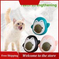 【DT】hot！ Catnip Balls Grinding Teeth Interactive Mint Edible Safety Snack Bite Resistant Supplies