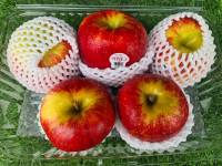 ยกลัง แอปเปิ้ลเอนวี่ นิวซีแลนด์ แพ็ค (Pack) 5 ลูก (Envy apply New zealand 5 pcs.) พรีเมียมแอปเปิ้ล รสชาติ หวาน กรอบ อร่อย