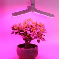 220V Full Spectrum LED Grow Light 36W สีม่วง ไฟปลุกต้นไม้ ไฟช่วยต้นไม้โตเร็ว