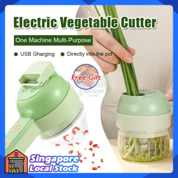 Electric Vegetable Cutter Set Handheld Garlic Slicer Multifunctional Food  Chopper Portable USB Rechargeable Vegetables Mincer for Garlic Pepper Onion  Celery Ginger Meat 