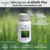 (1 กระปุก 120 เม็ด) Wheatgrass &amp; Alfalfa Plus ผลิตภัณฑ์อาหารเสริมแอมสตรอง ? วีทกราส อัลฟัลฟ่า พลัส ผักเม็ดแท้ สูตรดั้งเดิม