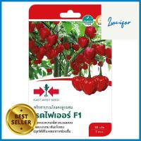 เมล็ดพันธุ์พริกฮาบาเนโรแดง เรดไฟเออร์ F1 ศรแดงRED HABANERO PEPPER SEEDS SORNDAENG REDFIRE F1 **ด่วน สินค้าเหลือไม่เยอะ**