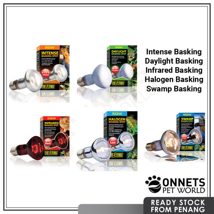 exo terra sun glo halogen daylight reptile lamp