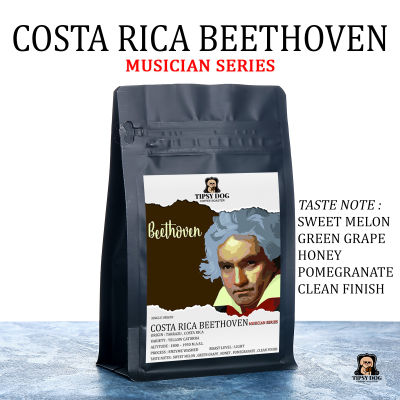 Costa Rica Canet Beethoven Musician Series - เมล็ดกาแฟคั่วอ่อน