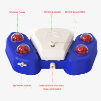 Pets Security Without Electricity for Dogs Drinking Toy Outdoor Dog Drinking Joy with Automatic Dog Water Fountain Step on Toy