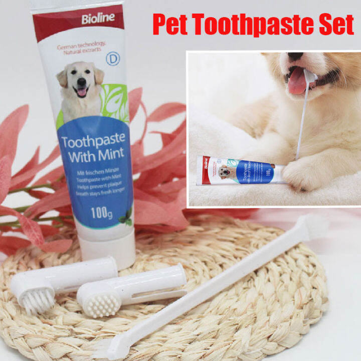Edible Pet Toothpaste Set Bioline Dog Cat Toothbrush Oral Cleaning Multiflavor Dog Toothpaste