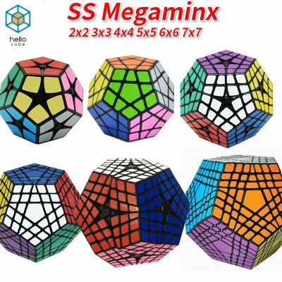 Shengshou Gigaminx 5x5x5 Magic Cube 3x3 Megaminx 4x4 5x5 6x6 7x7 Teraminx cube wumofang Cube YesElite Kilominx