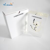 43108 frog bone specimens of organic resin embedding primary and secondary school biology teaching equipment model of popular science