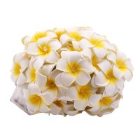 Frangipani 80 LED String Light Hawaiian Foam Artificial Plumeria Flower Battery Powered Fairy Starry Lights for Wedding Beach Party