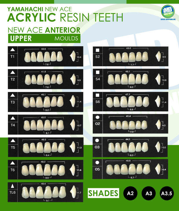 Yamahachi New Ace Acrylic Resin Teeth ( ANTERIOR UPPER ) Lazada PH