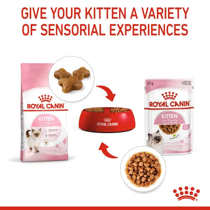 หมดอายุ8-2024-royal-canin-kitten-gravy-12-ซอง-อาหารลูกแมว4-12-เดือนในน้ำเกรวี่-pouch