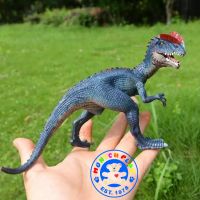 Munich Play - โมเดล ไดโนเสาร์ Dilophosaurus น้ำเงิน ขนาด 18.50 CM (จากหาดใหญ่)