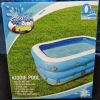 สระว่ายน้ำ kiddie pool