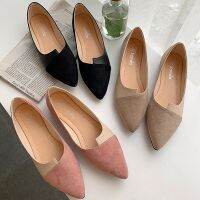 ️Women Splice Color Fashion Pointed Flat shoes