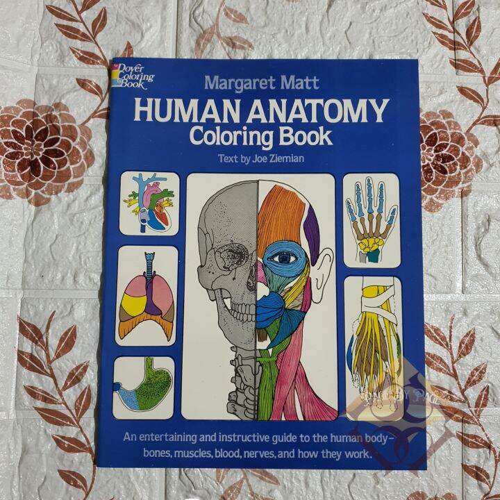 Margaret Matt Human Anatomy Coloring - 8dfc04915d64704e3f49208ef13e8656 720x720q80 