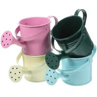 【CC】 5Pcs Small Metal Watering Can Kids Children Garden for Indoor Outdoor ( Color )