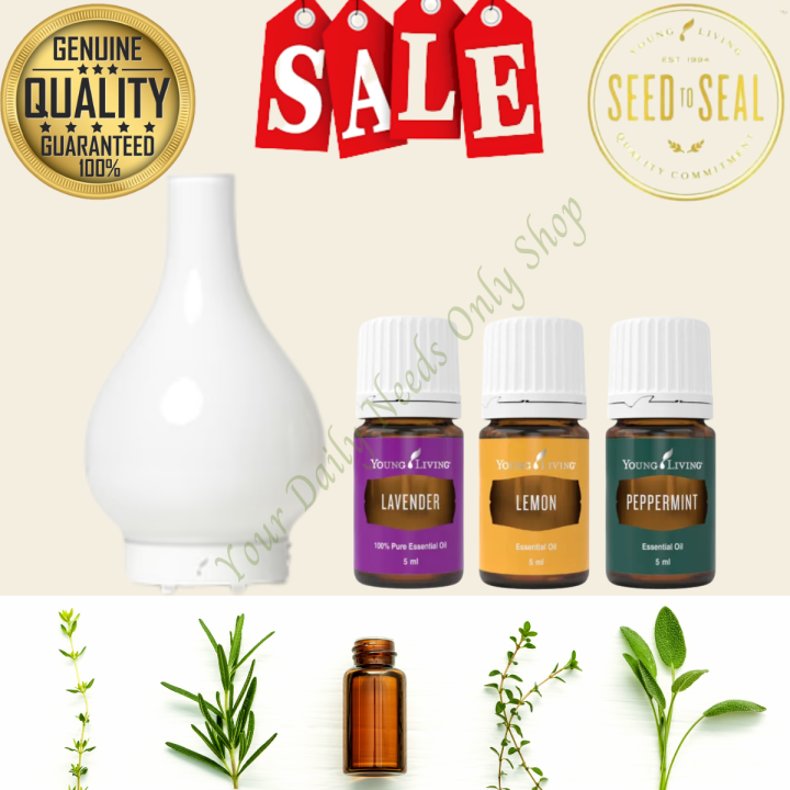 Young Living Lucia Artisan Aroma Globe Diffuser Lazada PH