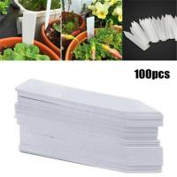 【hot】✇❀✴  50/100pc Plastic Label Garden Labels Tray Markers Pots Decoration