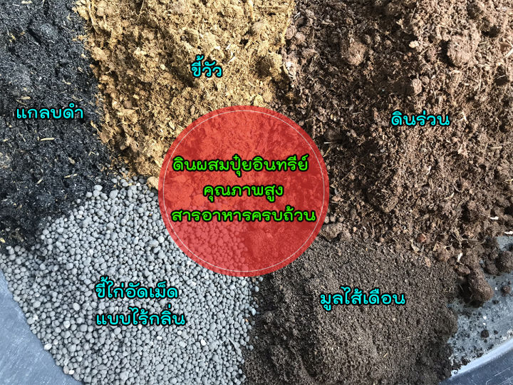ดินผสมปุ๋ยอินทรีย์-ดินออแกนิค100-สูตรสารอาหารครบถ้วน-ดินพร้อมปลูก-สูตรดินคุณภาพดี-ดินปลูกต้นไม้-ดินปลูกพืช-ดินเพาะเมล็ด-1-kg