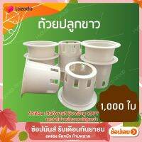 ถ้วยปลูกผักไฮโดรโปนิกส์สีขาว 1 ชุด จำนวน 1000 ใบ by hydroponicgroup