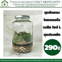 สุดพิเศษ ชุดจัดสวนในขวดแก้ว เบสิค ไซต์ L ชุดประหยัด 290 Wow สุด