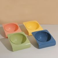 Pet Cat Bowl Dog Cat Food Bowl with Drinking Raised Stand Dish Bowls for Cats Dogs Pet Slanted Cat Food or Water Bowls