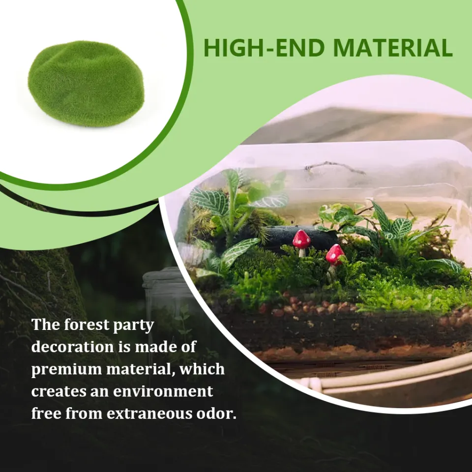 Terrarium Ornament Rainforest Diorama Supplies Artificial Preserved Moss  Enchanted Forest Party Decorations Floral Assorted