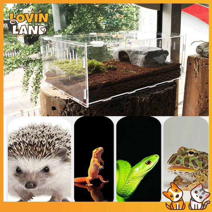 Picture of Lovinland Acrylic Reptile Feeding Box Transparent Glass Terrarium Box ...