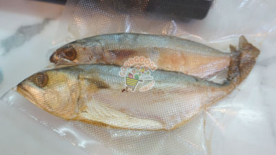 เก็บเงินปลายทาง ปลาทูมัน ปลาทูหอม จากแม่กลอง สด ใหม่ รับประกันความอร่อย บรรจุแพ็คละ 2 ตัว ไซส์จัมโบ้