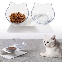 15°Inclined Double Cat and Dog Bowl Elevated Cat Food Water Bowl with Non slip Bracket Pet Feeder Bowl for Cats and Small Dogs