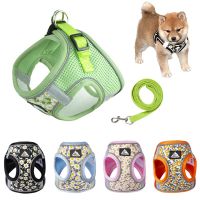 Beautiful Dog Harness with Leash Reflective Breathable Pet Chest Strap For Small Dogs Cat Vest Harness Chihuahua Dog Accessories Leashes