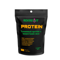 Styrian Seed Protein with Nut-flavoured oat sprout powder. (Pumpkin plant protein)  healthy choice GMO free