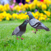 HAOYUNLA 2pcs Pigeons Garden Stake Decoration Insert Lifelike Pigeons Sculpture Acrylic Stakes