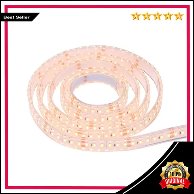 PHILIPS LED Strip BGC301 IP68 1100lm/m 5Meter 24Volt - UNILinear Flex ...