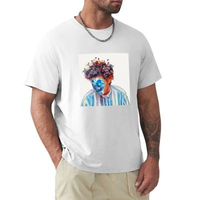 The Fall Of Hobo Johnson - Hobo Johnson T-Shirt Animal Print Shirt Anime Clothes Mens Graphic T-Shirts Pack