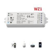 WZ1 DC12V-36V ZigBee 3.0 &amp; RF 2 CH ตัวควบคุมไฟ LED Tuya แอปคลาวด์ไร้สายรีโมทคอนโทรล2ช่องสำหรับไฟแถบไฟ LED สีเดียว CT