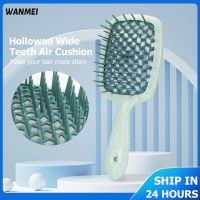 【CC】 Janeke Wide Teeth Air Cushion Combs Scalp Massage Comb Hair Environmental Protection