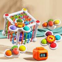 Montessori Toys Shape Block Sorting Baby Toys for 0-36 Month Cube Rotating Rattle Sensory Game Learning Educational Toys for Kid