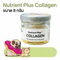 อาหารเสริมสุนัข อาหารเสริมแมว Nutrient Plus Collagen คอลลาเจน 8g โดย Yes pet shop