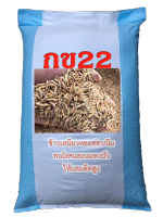 จัดส่งฟรี เมล็ดพันธุ์ข้าวเหนียว กข22 (23กก)