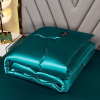 Washable summer ice silk air conditioning thin quilt adult kids home textiles high density luxury bedding queen king size