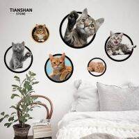 DSF Studio TianShan 5Pcs / แผ่น 3D แมวสติกเกอร์กำแพงน่ารักถอดรูปลอกแมวคิดเด็กตกแต่งห้องนอน