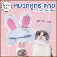 ♨KUMA ま หมวกแมว หมวกหูกระต่าย หมวกสัตว์เลี้ยง หูกระต่าย น้องแมว น้องหมา Bunny Cat✸