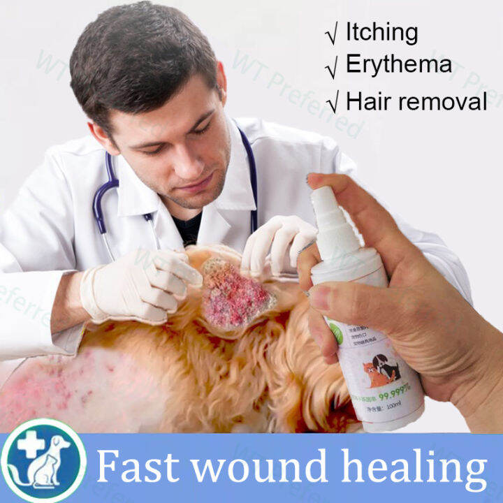 Pet wound Rapid Fast Heal Spray Antibacterial Wound Cream Animal wound