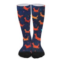 【jw】₪♙  foxes flight Socks aesthetic Men′s sock